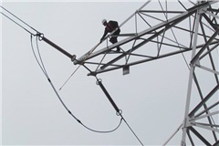 民營(yíng)光纜企業(yè)優(yōu)勢(shì)凸顯，未來光纜產(chǎn)業(yè)可持續(xù)發(fā)展