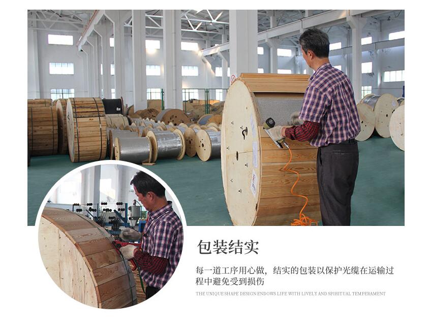 48芯ADSS光纜，48芯ADSS光纜工廠供應(yīng)